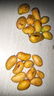 小臺農(nóng)芒果新鮮小臺芒應(yīng)季水果現(xiàn)摘精品超甜熱帶芒果產(chǎn)地直發(fā) 3斤裝單果90g起 曬單實拍圖