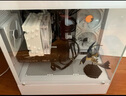 華碩全家桶i5 14600KF/RTX5070顯卡直播電競游戲臺式機組裝電腦主機整機DIY組裝機 14600KF+RTX5060丨配置一 曬單實拍圖