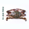 鮮活梭子蟹100-150g/只 曬單實(shí)拍圖