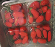 【順豐航空】新鮮枸杞 頭茬大枸杞新鮮水果 125g*4盒 【大顆粒】 曬單實拍圖