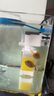 松寶（sobo）魚缸過(guò)濾器三合一循環(huán)過(guò)濾器增氧泵水泵抽水吸便凈水AQ-6000F款4W 曬單實(shí)拍圖
