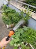 aolalbom奧萊邦菜園澆菜神器澆水機農用自動(dòng)澆地充電式抽水泵鋰電抽水機小 G38至尊續航2個(gè)電池+100米防爆管 曬單實(shí)拍圖