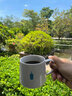 BlueBottleCoffee藍(lán)瓶咖啡日本限定小藍(lán)瓶子馬克杯陶瓷咖啡杯經(jīng)典復(fù)古工藝陶瓷水杯伴手禮杯 350ml馬克杯-清澄白河店 曬單實(shí)拍圖