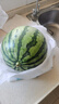 【產地直采】麒麟奶油西瓜1粒4kg 曬單實拍圖