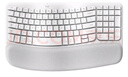 羅技（Logitech）Wave Keys人體工學(xué)鍵盤 無線藍(lán)牙鍵盤辦公平板ipad鍵盤Mac筆記本薄膜鍵盤 家用雙模帶掌托傾角支架 Wave Keys白色(帶Bolt接收器) 曬單實拍圖