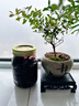 kilner玻璃密封罐食品級(jí)茶葉罐真空儲(chǔ)物罐泡菜壇子果醬蜂蜜分裝瓶 500ml 曬單實(shí)拍圖
