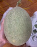 山東直發(fā)哈密瓜新鮮整箱 西洲蜜瓜當(dāng)季水果甜冰淇淋蜜瓜整箱 5斤(凈重4-5斤)2-3個 超值裝 曬單實拍圖