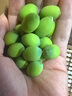 沃江源【加冰順豐發(fā)貨】湖北洪湖新鮮嫩蓮子生吃水果蓮子鮮甜蓮米現(xiàn)采摘 3斤裝 曬單實(shí)拍圖