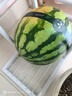 【產(chǎn)地直采】麒麟奶油西瓜 約5.5kg 曬單實(shí)拍圖