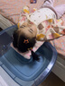 勞可里尼（NOCOLLINY）家用平躺式洗頭盆免彎腰孕婦月子臥床上洗頭發(fā)老人躺著(zhù)洗頭神器 【基礎款】湖水藍+排水管 【孕婦/老人/兒童】通用 曬單實(shí)拍圖