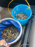 花沃里趕海工具5件套裝 沙灘鏟子挖沙工具鐵鍬鋤頭趕海夾子手套耙子水桶 曬單實拍圖