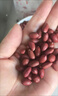 紅皮花生米云南新貨農(nóng)家商用小粒生花生無殼紅衣花生米仁雜糧豆?jié){ 云南紅皮花生 500 克 曬單實拍圖