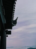 鑫寶麟建筑專(zhuān)用安全網(wǎng)防墜網(wǎng)(2.5m*2.5m）5cm孔/粗5mm京倉發(fā) 曬單實(shí)拍圖