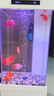瑞龍智能魚(yú)缸水族箱小型客廳落地靠墻家用造景超白玻璃生態(tài)底濾金魚(yú)缸 50cm長(cháng)肌膚白+超白玻璃+觸控顯示屏 40cm寬*155cm高（缸高90+柜高65） 曬單實(shí)拍圖