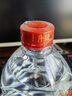 紅星二鍋頭 大桶 清香型白酒 52度 5L 大桶裝 純糧口糧酒 泡酒 曬單實拍圖