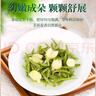 一杯香茶葉茉莉花茶橫縣特級(jí)500g2025新茶禮盒裝茉莉綠茶花草茶自己喝 曬單實(shí)拍圖