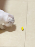 KimPets貓玩具電動納米蟲自動逗貓神器自嗨解悶寵物消耗體力玩具貓咪用品 貓咪電動玩具五足蟲（黃色大號） 曬單實(shí)拍圖