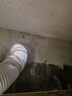 海立F50廚房下水道防臭神器封口器衛(wèi)生間洗衣機(jī)下水管防溢水密封塞圈 曬單實(shí)拍圖