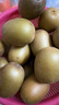佳沛（zespri）新西蘭 陽光金奇異果12粒禮盒特大果單果約122-146g 獼猴桃 水果 曬單實拍圖