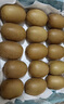 佳沛（zespri）新西蘭  陽光金奇異果16粒禮盒經(jīng)典果單果約 77-103g 水果 獼猴桃 曬單實拍圖