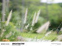 星曜光學(xué)星曜50mm F0.95全畫(huà)幅人像星耀大光圈夜神鏡頭50 f0.95光圈鏡頭 黑色二代【官方標(biāo)配】 索尼E口（A7C/A7M3/A7S3/A7R3A） 曬單實(shí)拍圖