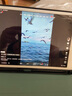 Apple蘋果 iPad Air1/Air2/Air3 迷你mini2/4/5 二手平板電腦ipad iPad mini5 64G WiFi版 95成新 曬單實拍圖