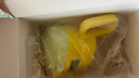 小土豆（potato）兒童水杯嬰幼兒PPSU學(xué)飲杯護(hù)齒吸管杯帶重力球開學(xué) 300ml檸檬黃 曬單實(shí)拍圖