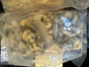 販鮮灣新鮮速凍大號蟶子肉新鮮捕撈鮮剝無沙去殼純?nèi)庀|子肉冷凍竹節(jié)蟶 1250g 冷凍蟶子肉每包1.25斤共2.5斤 曬單實拍圖