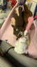 Lee×Smiley聯(lián)名笑臉帆布袋托特包斜跨手提單肩大容量女士通勤購物袋 曬單實(shí)拍圖