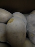 甘肅定西土豆2025年馬鈴薯洋芋沙面白心黃心新鮮蔬菜 定西土豆5斤【黃心小果】特價(jià) 曬單實(shí)拍圖