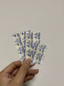 耐適康（Nexcare）3M防水創(chuàng)可貼透氣耐適康美國進口透明醫(yī)用防水創(chuàng)口貼兒童水泡傷口 防水創(chuàng)口貼(20片)大小混合 曬單實拍圖