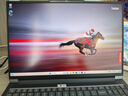 ThinkPad【國家補貼20%】聯(lián)想ThinkBook 16p 2025 AMD銳龍9 8945HX處理器 16英寸視頻剪輯設(shè)計師筆記本電腦 R9 8945HX 16G 1T 8G獨顯01CD 曬單實拍圖
