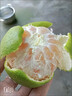 閩域?qū)r云南蜜桔【現(xiàn)貨速發(fā)】青皮蜜橘子酸甜口感特早熟桔子當(dāng)季新鮮水果 凈4.5-5斤嚴(yán)選55MM+【多汁酸甜】 曬單實(shí)拍圖
