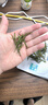 安吉白茶2025年新茶一級(jí)250g正宗安吉白茶散袋裝極白嫩芽自己喝口糧綠茶葉 【安吉特產(chǎn) 一級(jí)好茶】袋裝250g 曬單實(shí)拍圖