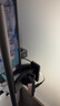明基(BenQ) ScreenBar Halo2屏幕掛燈電競(jìng)顯示器電腦沉浸背光智能護(hù)眼 曬單實(shí)拍圖