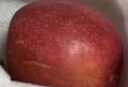 橙小士新西蘭紅玫瑰蘋(píng)果 進(jìn)口queen蘋(píng)果皇后脆甜當(dāng)季新鮮年貨水果整箱 12枚大果【單果200g+】?jī)糁?斤 曬單實(shí)拍圖