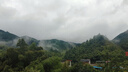 清風(fēng)紙巾抽紙4層加厚320張面巾紙衛(wèi)生餐巾紙紙抽家用實(shí)惠裝批發(fā) 4層 320張*10包 曬單實(shí)拍圖