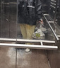 樂優(yōu)佰易 反光成人雨衣套裝分體式 C牛津布單帽檐 M 防暴雨含雨褲騎車交通 曬單實拍圖