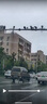 70邁行車記錄儀M310Pro 2K 1440P超高清夜視 F1.55大光圈 360度旋轉(zhuǎn) 曬單實拍圖