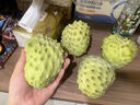 壹萌果蔬釋迦果新鮮鳳梨釋迦果番荔枝大目林擒佛頭廣西熱帶水果中秋送禮 凈2.5-3斤精選果【單果150g+】 曬單實(shí)拍圖