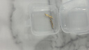 OAH黃金耳釘女999足金養(yǎng)耳棒小眾防過敏金豆 老鳳祥同款0.19g 老鳳祥同款黃金養(yǎng)耳棒.【1對裝】 曬單實拍圖