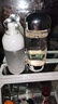 茵芙莎（IPSA）流金水200ml爽膚水補(bǔ)水保濕美白祛斑護(hù)膚七夕情人節(jié)禮物送女友 曬單實(shí)拍圖