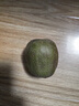 京覓蒲江紅心獼猴桃奇異果12枚裝 90-110g 生鮮時令水果源頭直發(fā)包郵 曬單實拍圖