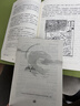 朝花夕拾魯迅原著正版人教版七年級初一必讀書目課外書上冊未刪減版完整初中語文課外讀物初一名著中學課外閱讀書籍 【配套人教版】朝花夕拾 曬單實拍圖