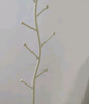 木樽奶油風(fēng)網(wǎng)紅衣帽架臥室掛衣架落地家用室內(nèi)簡(jiǎn)約立式掛包收納衣服架 奶油白樹杈主桿+雪山白巖板底座 曬單實(shí)拍圖