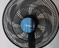 美的（Midea）電風(fēng)扇 家用風(fēng)扇 落地扇 7葉遠距強風(fēng)電扇 立式輕音節能可定時(shí)降溫 黑色機械款 【風(fēng)速309m/min】超級單品 曬單實(shí)拍圖