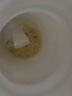 湯臣倍健金裝魚油60粒*3禮盒 96%高純一級新鮮深海omega3魚油 epa+dha送禮 曬單實拍圖