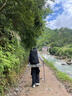 GREGORY格里高利 STOUT金石 旅行徒步雙肩背包運動戶外男士大容量登山包 55L-森林黑 曬單實拍圖