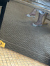 CHARLES&KEITH25夏新品方頭蝴蝶結(jié)褶皺細跟拖鞋涼鞋CK1-60280476 Multi綜合色 36 （230） 曬單實拍圖