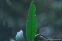 銘匠500mm F6.3全畫(huà)幅超遠攝長(cháng)焦鏡頭適用于X卡口E卡口Z卡口RF卡口L卡口相機銘匠500f6.3定焦鏡頭 尼康F卡口 官方標配 曬單實(shí)拍圖